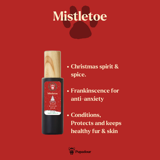 Mistletoe