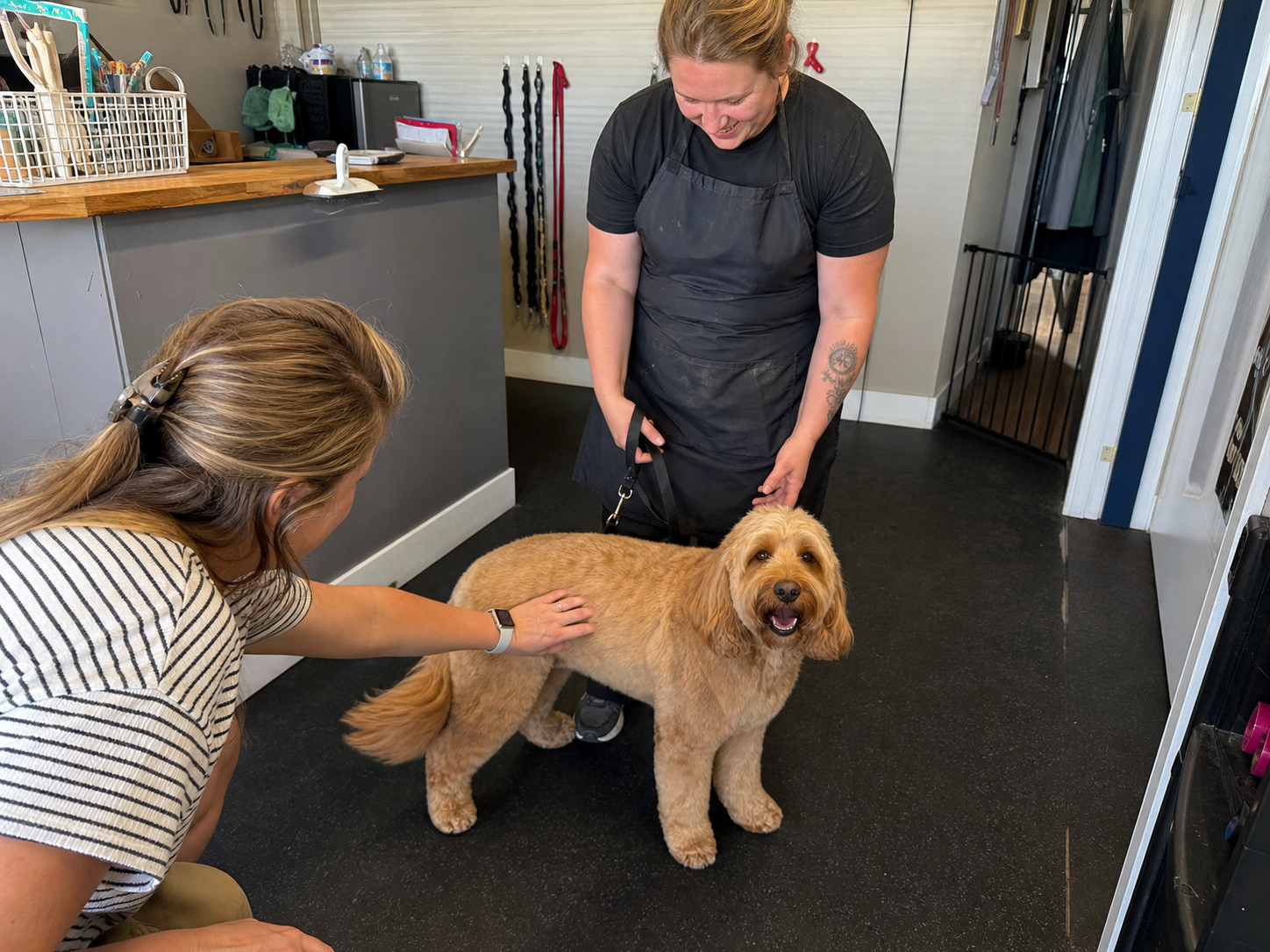 A groomer and pet parent at pickup with a freshly groomed dog