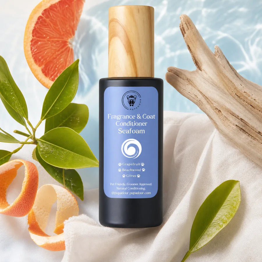 Seafoam fragrance and coat conditioner in a bright coastal scene