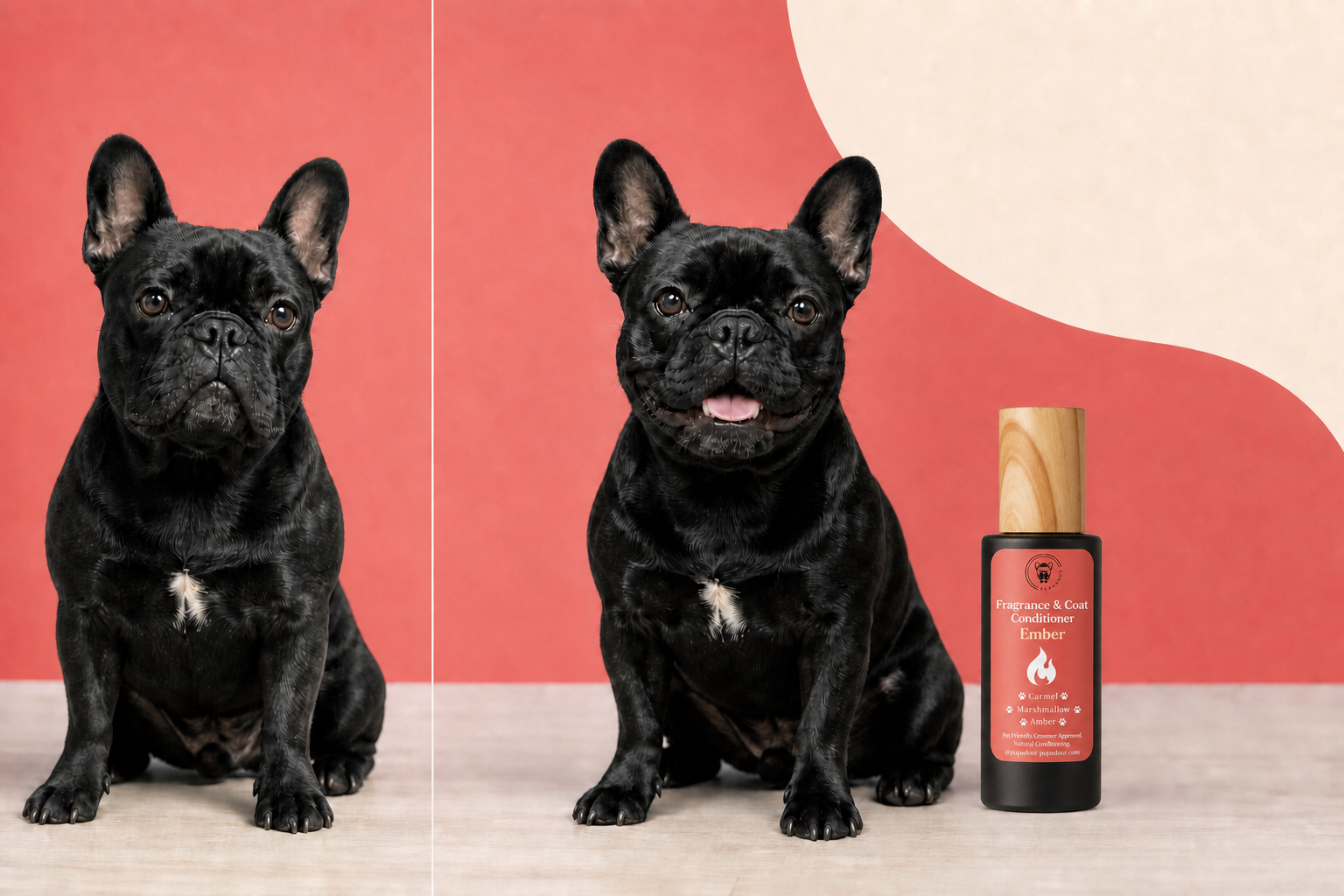 The same black French bulldog before and after a Pupadour coat refresh with the Ember bottle